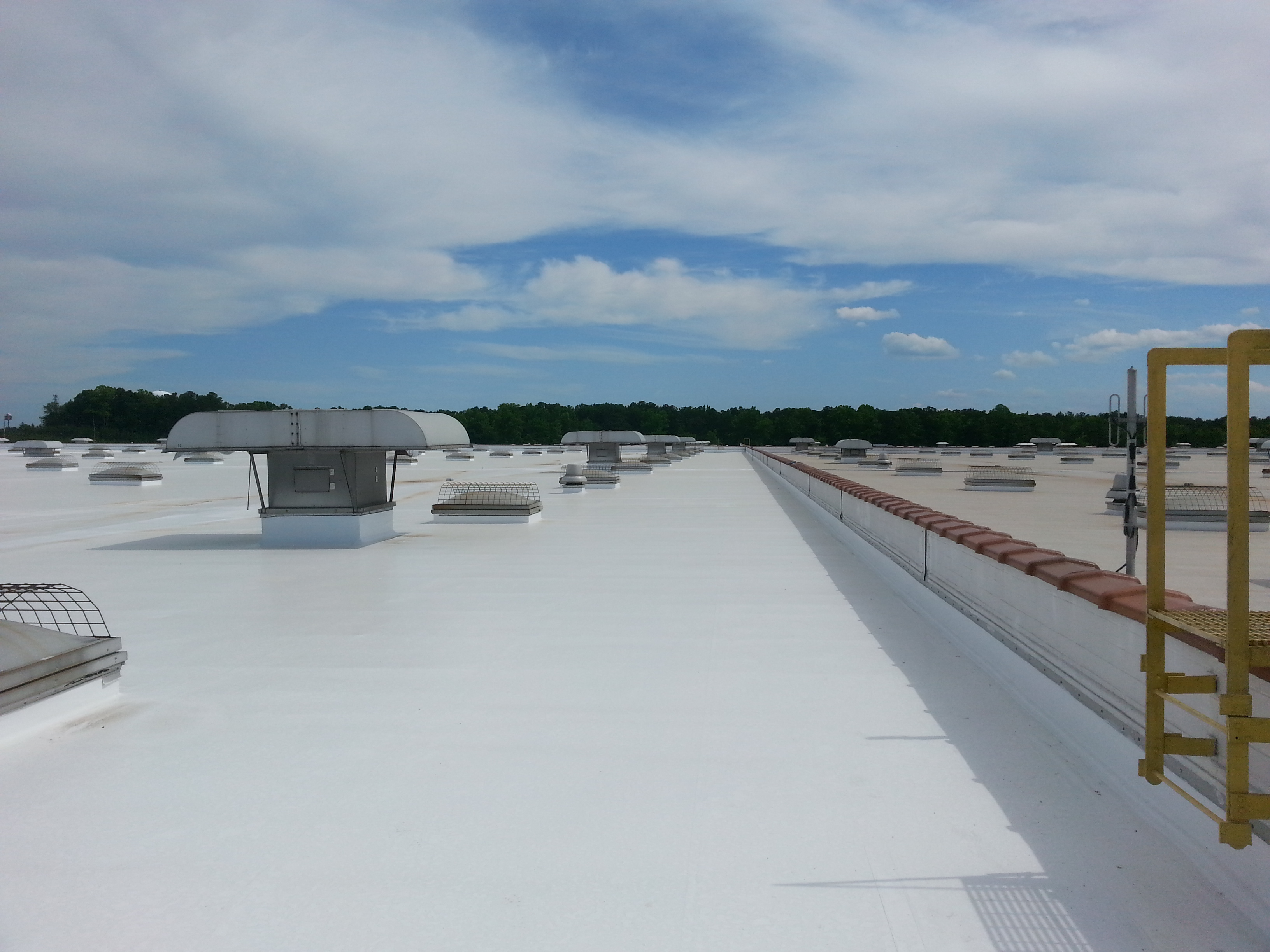 Why choose a professional for flat roofing repairs